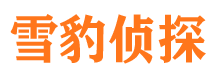 梅里斯婚外情调查取证